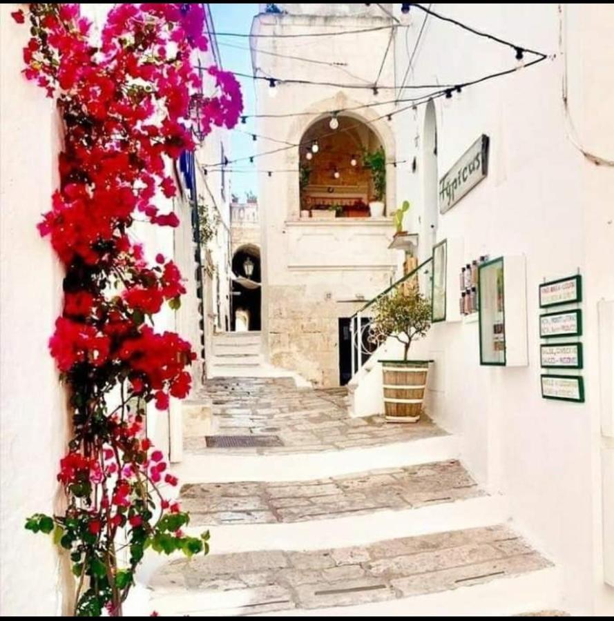 Casa Citta Bianca Ostuni Διαμέρισμα Εξωτερικό φωτογραφία